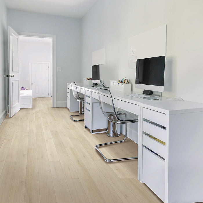 Bellente