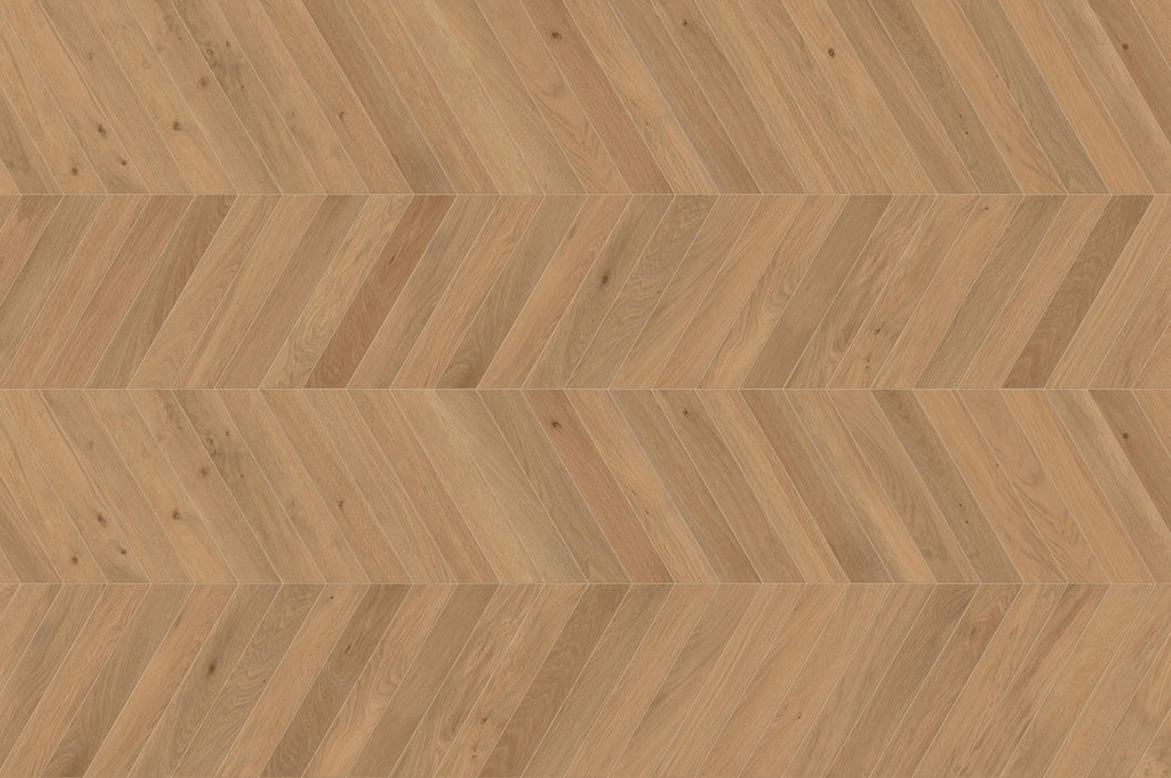 Log
