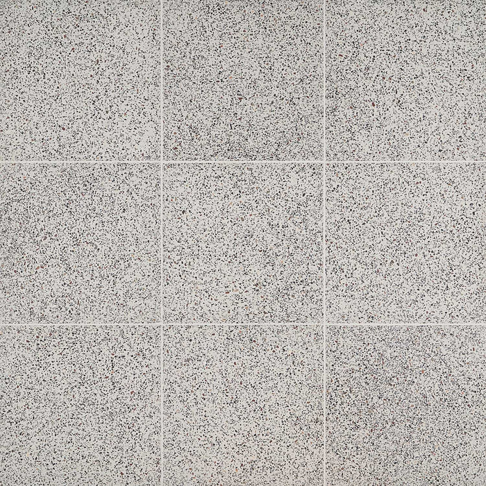 Marmi Terrazo
