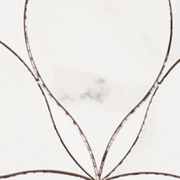 Botanelle