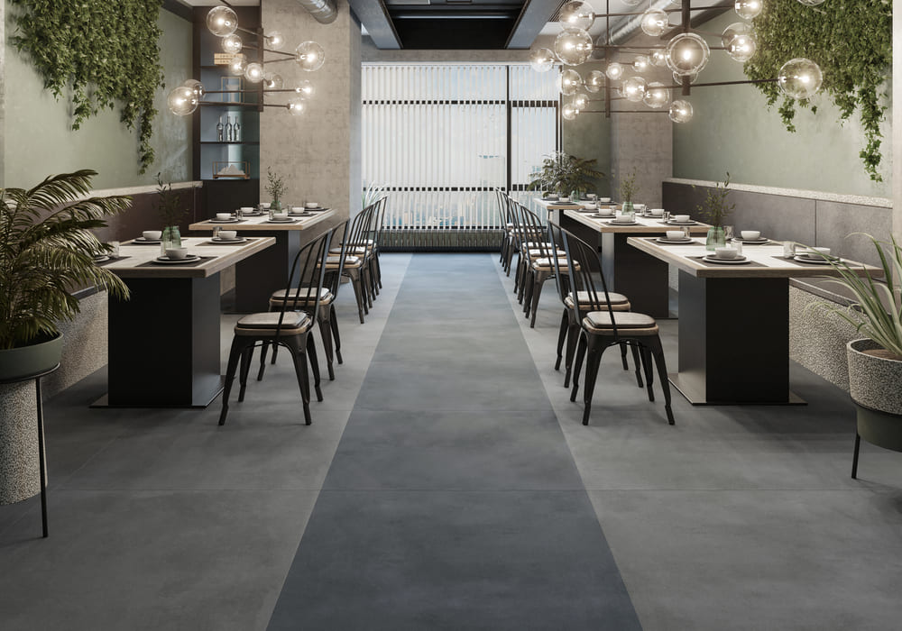 More About Domus
