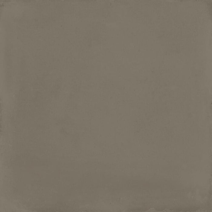 D Segni