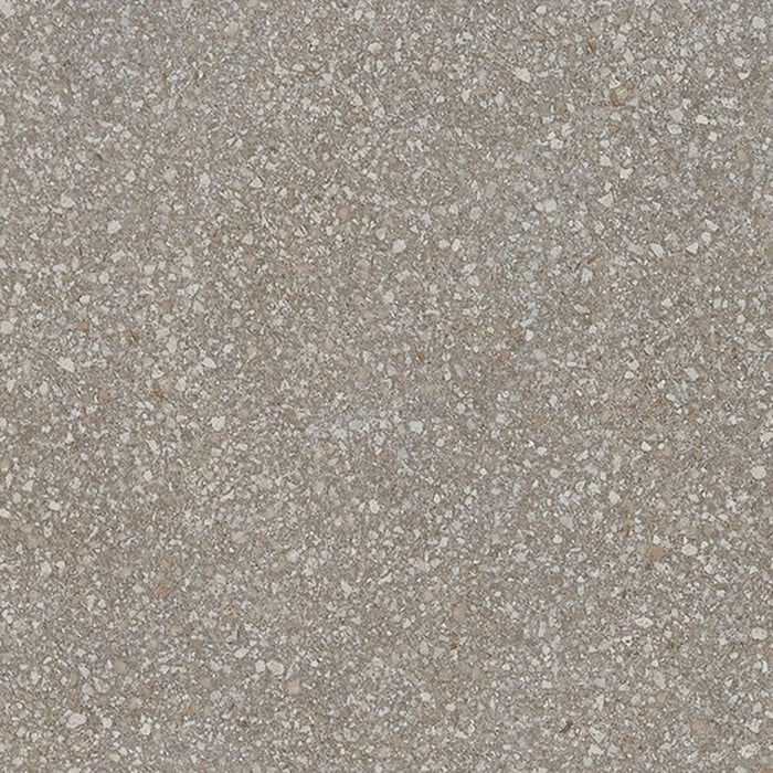 NeoSpeck