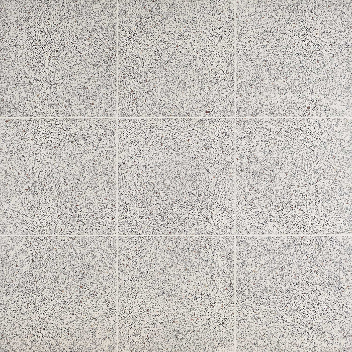 Marmi Terrazo