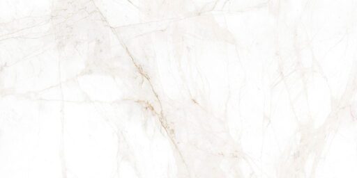 Monte Marbles
