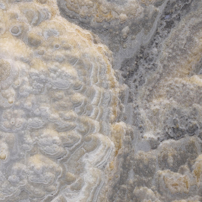 Velvet Onyx