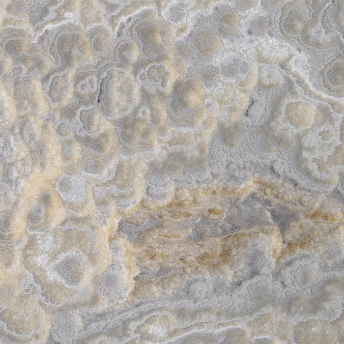 Velvet Onyx