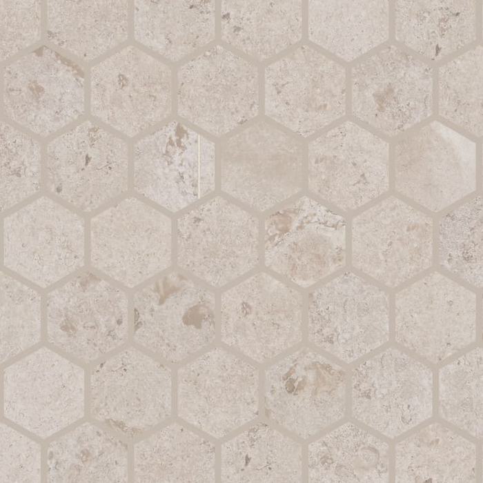 Rochester Hexagon Mosaic