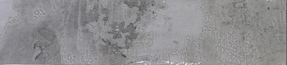 Rain Drops