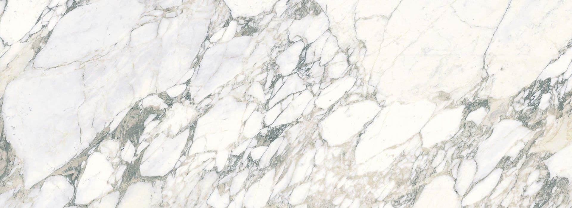 Bianco Eleganza
