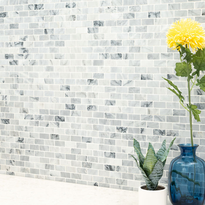 Carrara Classique Mosaics