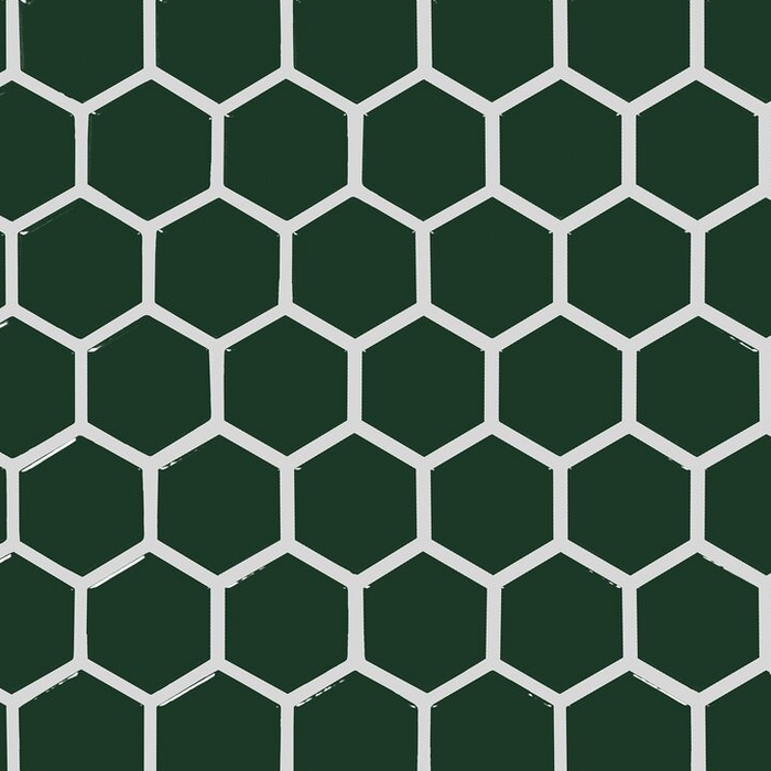 Color Story Hexagon Mosaic