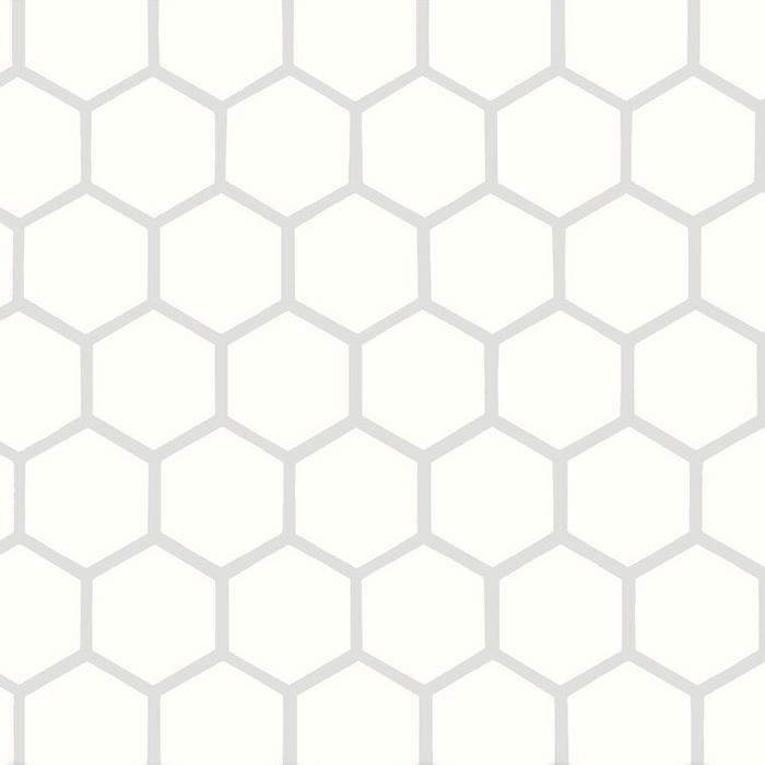 Color Story Hexagon Mosaic