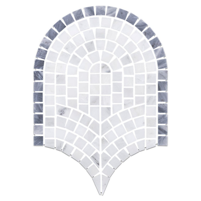 Curvosa