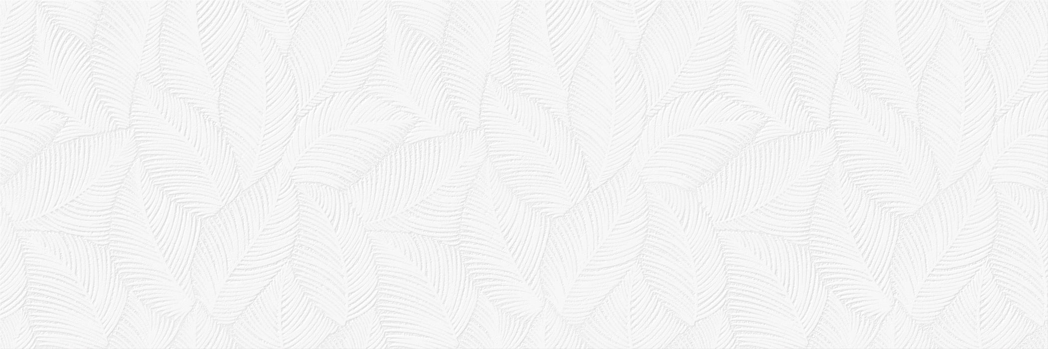 Absolute White
