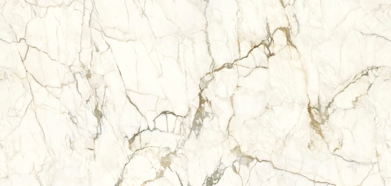 Bianco Eleganza
