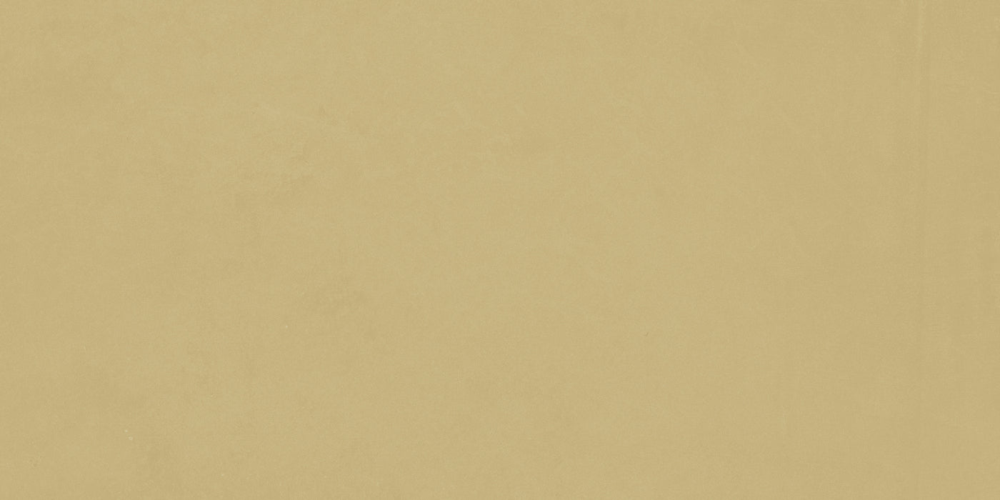 Vision Color