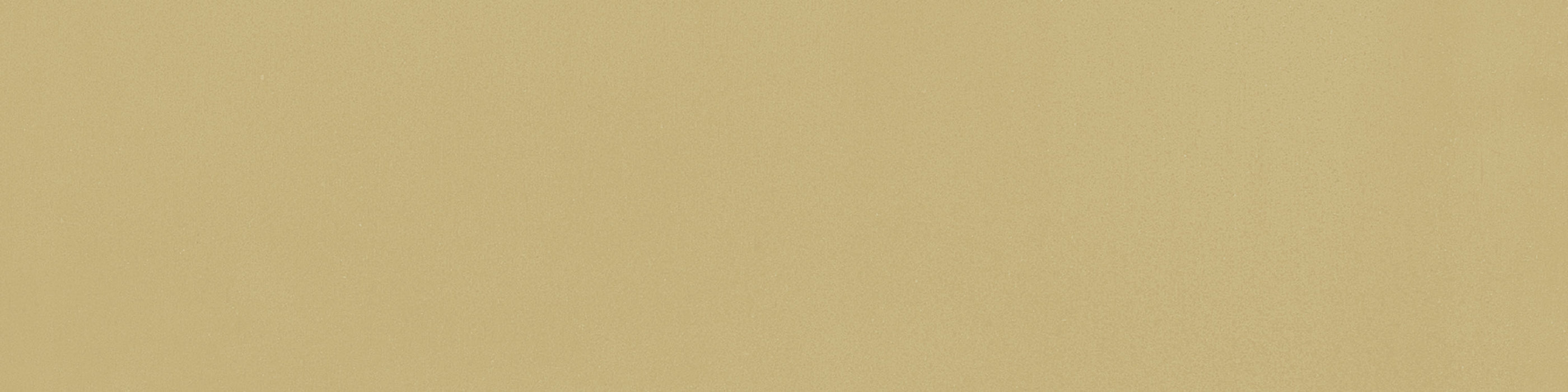 Vision Color